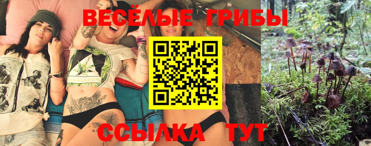 Галлюциногенные грибы Cubensis  Вход с VPN  Королёв  Галлюциногенные грибы прущие грибы 